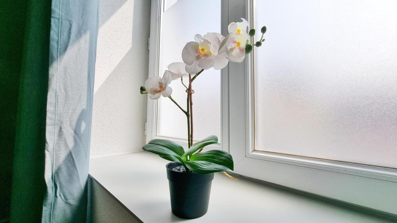 Chez Jm - Calme - Chic - Fibre - Relax Bnb Mulhouse Eksteriør bilde